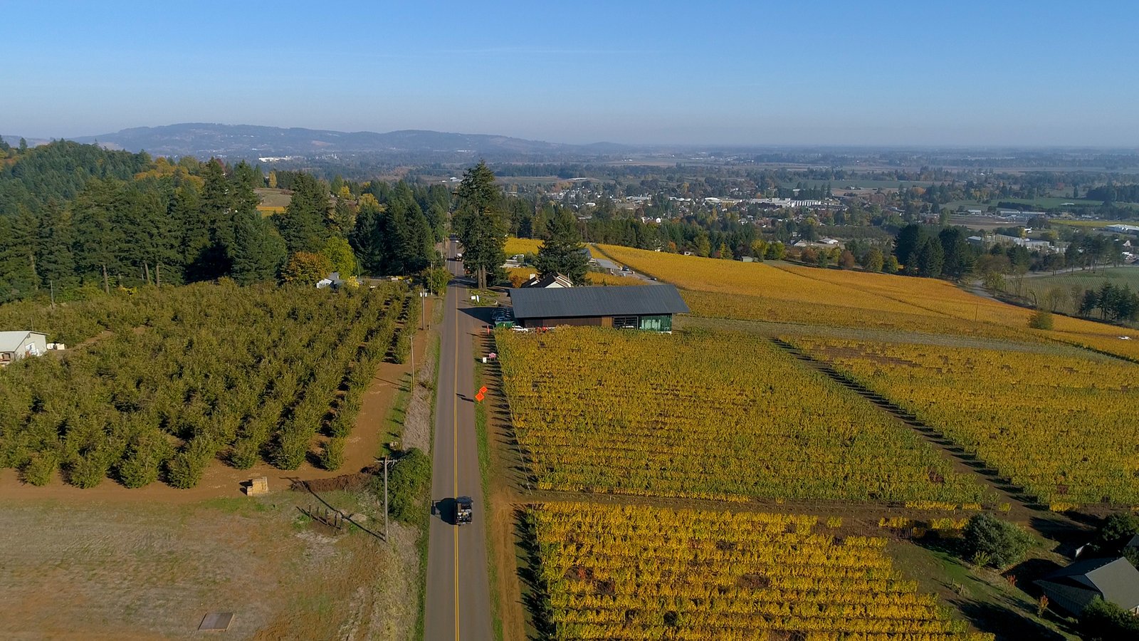 Aerial landscape drone photo of the Furioso Vineyard