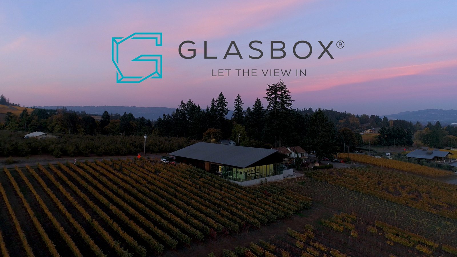 Sunset photo of Furioso Vineyard with Glasbox logo in the sky